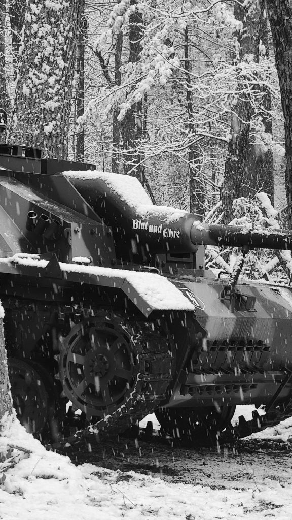 picture of a German tank destroyer in a snowy wood